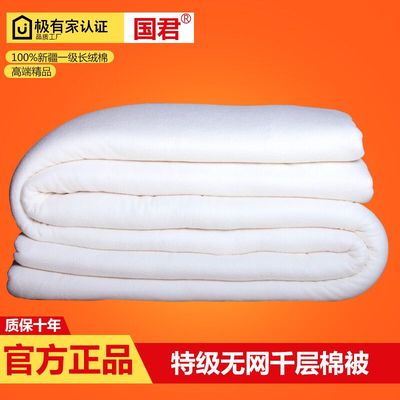 国君棉絮冬天棉被被芯冬被子加厚保暖双人新疆棉被棉花被子8斤