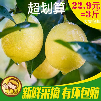 檬趣园四川安岳新鲜黄柠檬中果精选1500g个大汁多农场直供10-15个