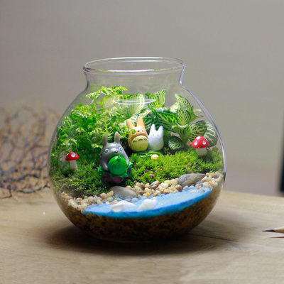 创意微景观生态瓶植物 新奇绿色盆栽 龙猫桌面新宠 节日生日礼物