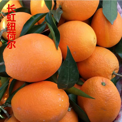 重庆正宗奉节新鲜脐橙上市长虹纽荷尔秒杀赣南秭归橙子水果20斤