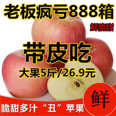 现摘新鲜纯天然红富士苹果水果5斤包邮山东特产非烟台洛川苹果