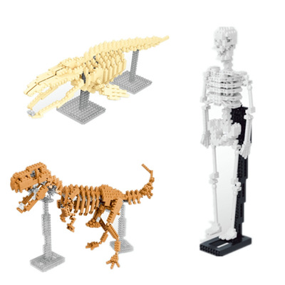 兼容乐高微积木鲨鱼恐龙三角龙剑齿虎人体骷髅模型儿童玩具