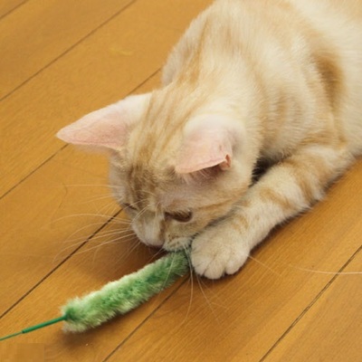 日本制造 原装进口Cattyman猫玩具 狗尾巴草逗猫棒 易清洁不掉毛