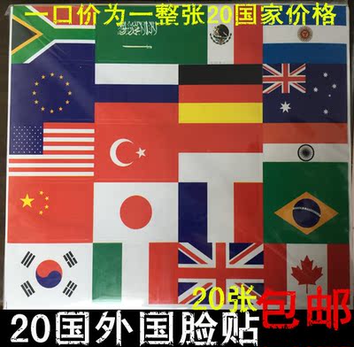 峰会20国脸贴英美法德韩中国贴纸日本俄罗斯澳大利亚欧盟国旗脸贴