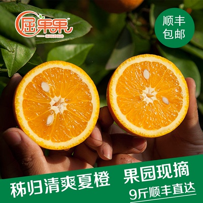屈果果 秭归脐橙 天然农家橙子 新鲜酸甜孕妇水果夏橙9斤顺丰包邮