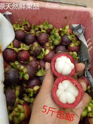 包邮泰国进口山竹5斤 热带水果皇后新鲜山竹 坏果率低 5A品质山竹