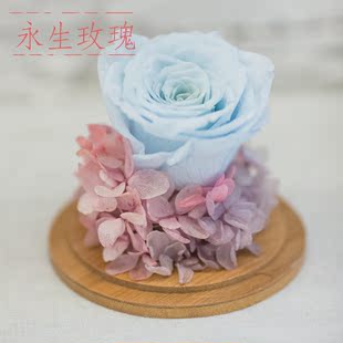 丁小绿永生花玻璃礼盒进口巨型玫瑰 七夕节送女友礼物