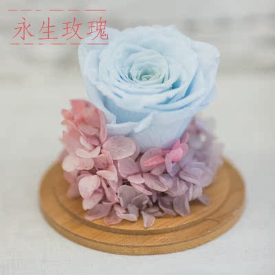 丁小绿永生花玻璃礼盒进口巨型玫瑰 七夕节送女友礼物
