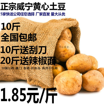 贵州特产贵州威宁土豆马铃薯洋芋贵州洋芋土豆贵州威宁洋芋土豆