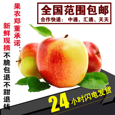 美国八号新鲜苹果 现摘脆甜苹果5斤装 2016夏最新大号水果鲜果