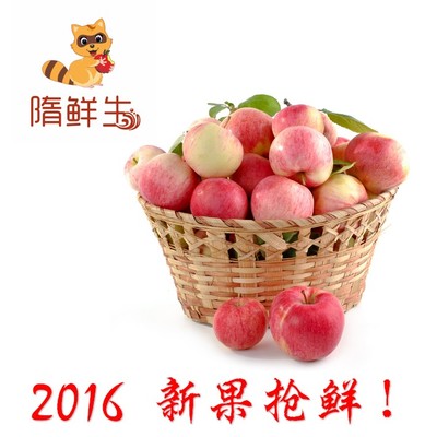 【隋鲜生】烟台红富士苹果9斤送1斤莱阳梨共10斤 新鲜有机水果