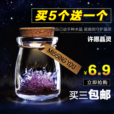 天天特价 韩国日本创意礼品 神奇礼物DIY种水晶瓶 许愿晶灵御守护