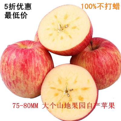 荣成苹果新鲜苹果水果纯天然水晶红富士苹果现货包邮