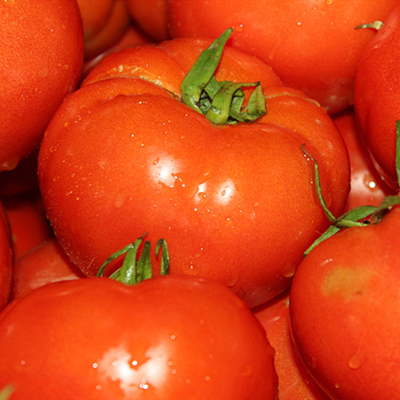 【爱家】云南蔬菜新鲜西红柿番茄硬果自然熟番茄西红柿5斤包邮