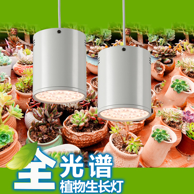 全光谱LED植物生长灯 花卉 水草 蔬菜育苗 室内绿植 多肉补光灯
