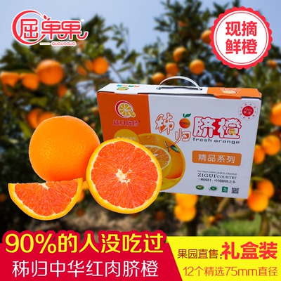 屈果果 秭归中华红血橙 12个礼盒装 红肉脐橙新鲜水果橙子 包邮