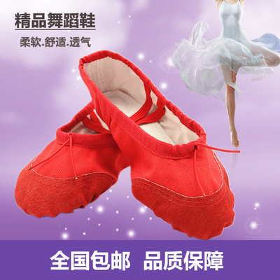 幼儿童舞蹈鞋女童芭蕾舞鞋软底成人体操鞋练功鞋瑜伽鞋猫爪鞋包邮