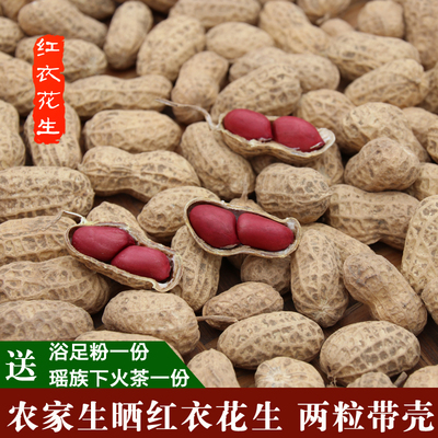 广西农家自种2016年原味新鲜花生带壳小粒纯天然红衣花生养胃500g