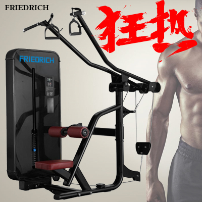 瑞士腓特烈高拉背训练器TP-20力量训练器械单人站家商用健身器材