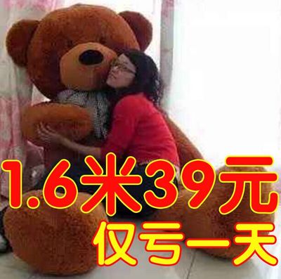 瞌睡熊公仔 大号布娃娃 1.6米泰迪熊 毛绒玩具熊 抱枕 生日礼物