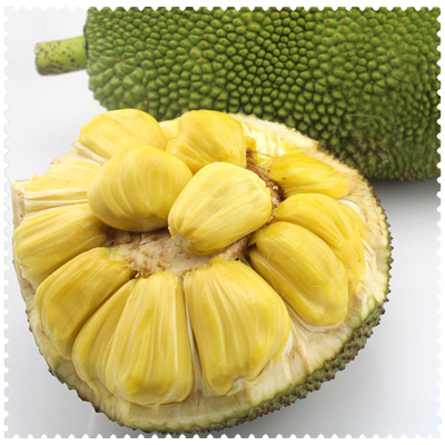 海南三亚热带新鲜水果菠萝蜜干苞23斤左右菠萝蜜新鲜水陆运