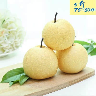 【预售】少鲜队 新鲜水果 酥梨 5斤大果 香甜多汁皮薄核小