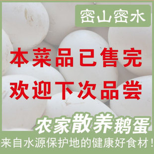 农家散养大鹅蛋纯玉米面喂养孕妇应该多吃京津冀地区配送10个包邮