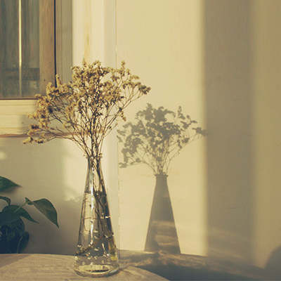 风物札记| 北欧风 宜家简约透明玻璃水培锥形台面花瓶 花器