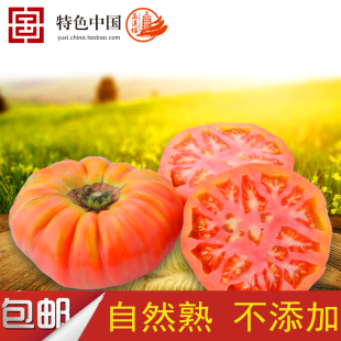爱家2016云南特产新鲜蔬菜西红柿老品种番茄味道浓厚低价5斤包邮