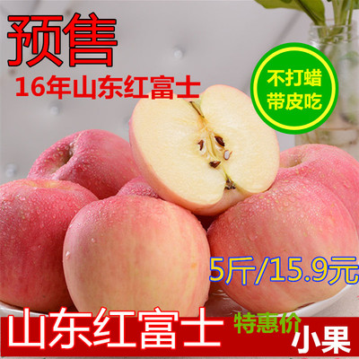 现摘山东农家新鲜水果苹果红富士小苹果脆甜带皮吃特价5斤包邮