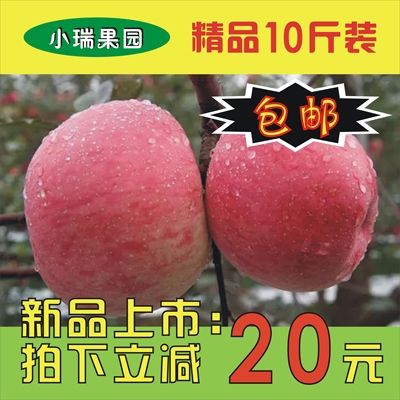 【小瑞果园】陕西彬县2016新鲜水果精品红富士苹果10斤装包邮