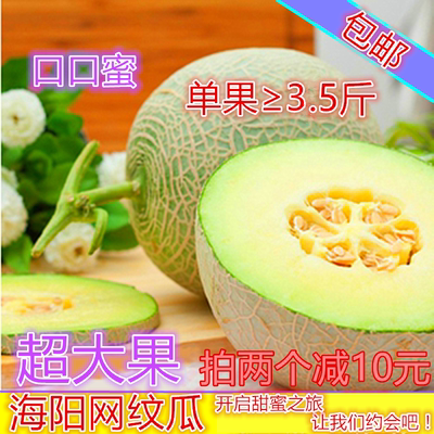 海阳网纹瓜哈密瓜甜瓜绿色无公害新鲜水果蜜瓜3.5至4斤/个包邮