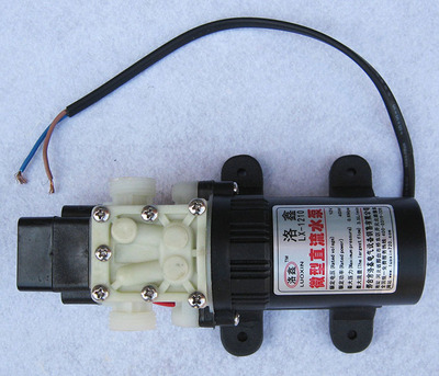 微型电动隔膜泵 直流水泵 洗车水泵 喷雾器水泵4分接口 自吸12V