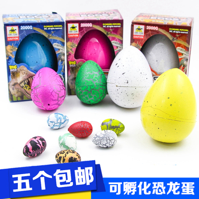 包邮可孵化小恐龙 恐龙蛋 膨胀蛋复活蛋变形玩具儿童益智彩蛋模型